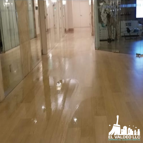 compañia de servicio de limpieza profunda en miami beach